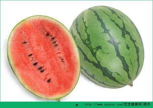 吃瓜过敏皮疹,揭秘过敏源与应对策略 第2张 吃瓜过敏皮疹,揭秘过敏源与应对策略 第2张